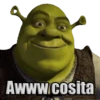 Shrek 13