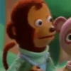 Memes Pedro El Mono 🐵 8