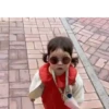 Jinmiran GIF 21