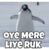 Funny Animals reactions🤣 22