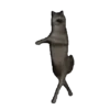 Virales TikTok 🐾🐱 16