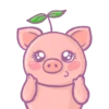 🐽Cerdito Cute🐽 5