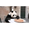 POOOLPIZZA 10