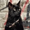 GATINHOS VIRALIZADOS 9