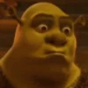 Shrek 14