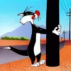 Random meme expression 25