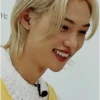 FELIX 🦋 STRAY KIDS  11