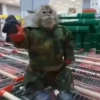 Macacos 12
