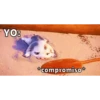 Pua🐽💓 13