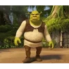 Shrek animado 😂 15