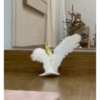 ZEZÉ CACATUA 💛 16