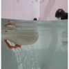 Patos 13