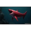 Shark 11