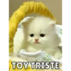 Memes de Gatitos Mov.🐱 12
