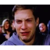 Tobey maguire spider man 11
