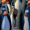 Panic 23