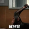 🐒 aquela do macaquinho 22