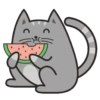 🐱Gatito🖤Gris🤍 20