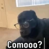 😌 ANIMALITOS CON FRASES 😎 14