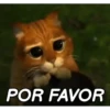 Shrek animado 😂 11