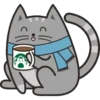 🐱Gatito🖤Gris🤍 12