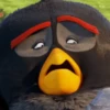 Angry Birds 10