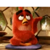 Angry Birds 8