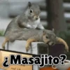 Animales Divertidos🐒🐤🦁 Mov🐽 12