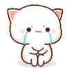 Cutie Cat Chan 10