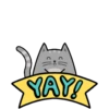 🐱Gatito🖤Gris🤍 8