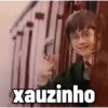 Harry Potter ⚡🧙‍♂️ 13