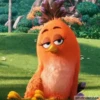 Angry Birds 20