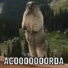DIA/TARDE/NOITE 14