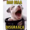 Figurinhas pra todo momento ! 11