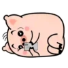 Carnitas.vip #1 🥳🐽 13