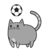 🐱Gatito🖤Gris🤍 21