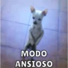 Perritos 14