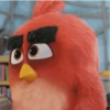 Angry Birds 21