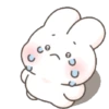 Bunny 6