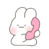 Bunny 20