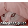 Figurinhas pra todo momento ! 7