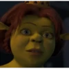 Shrek animado 😂 12