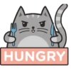 🐱Gatito🖤Gris🤍 11