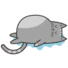 🐱Gatito🖤Gris🤍 23