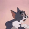 Random meme expression 18