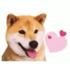 Animals Funny Meme 15