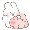 Bunny 11