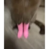 Más gatos🐈 8