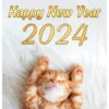 Happy New Year 9