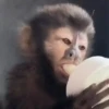 🐒 aquela do macaquinho 12